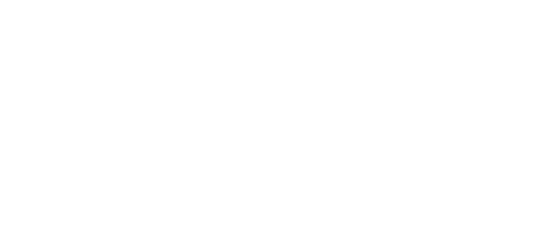 Logo site blanc Alice besson Photographe